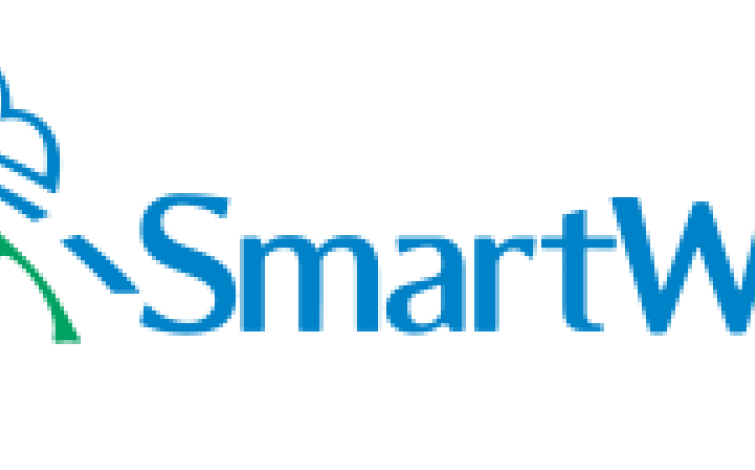 SmartWay Web Logo